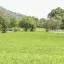 Cheap car hire in Pindamonhangaba