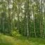 Europcar car rental locations in Weiden
