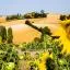 Cheap car rental in Le Haillan