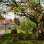 Cheap car rental in East Dereham