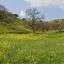 Cheap car rental in Gilroy