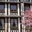 Cheap car rental in Le Petit-Quevilly
