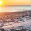 Lloguer de cotxes barat a Vero Beach