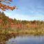 Cheap car rental in Raynham