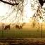 Cheap car rental in Enid