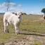Cheap car rental in Collado Mediano
