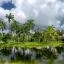 Cheap car hire in Miami Gardens
