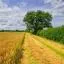 Cheap car rental in Berkswell