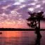 Cheap car rental in Scott