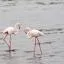 Cheap car rental in Ondangwa