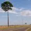Cheap car rental in Castanhal