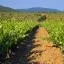 Cheap car rental in Trans-en-Provence