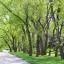 Cheap car rental in Mokena