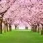 Cheap car rental in Kitakami