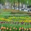 Cheap car rental in Aschersleben