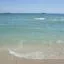 Cheap car rental in Palm Harbor