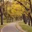 Cheap car rental in Brooklyn Park