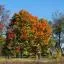 Cheap car rental in Southfield