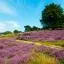Cheap car rental in Uelzen