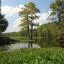 Cheap car rental in Houma