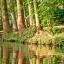 Cheap car rental in Mosbach