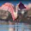 Cheap car rental in Oldsmar