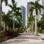 Alquiler de coche económico en Miami