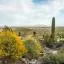 Cheap car rental in Casa Grande