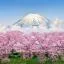 Cheap car rental in Shizuoka