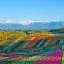 Cheap car rental in Furano