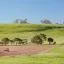 Cheap car rental in Castlemaine