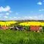 Cheap car rental in Ilmenau