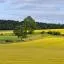 Cheap car rental in Livingston