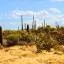 Cheap car rental in Sonora