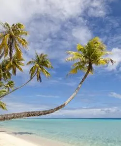 A beautiful view of Fiji