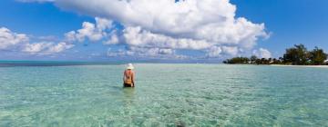 Fly fra Detroit til Caymanøyene