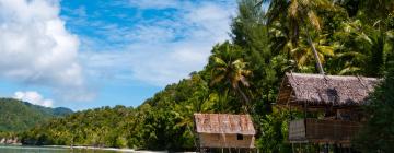 Chuyến bay đến Papua New Guinea