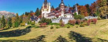 Guest Houses in Romania