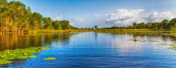 Vluchten naar Suriname