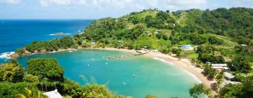 Flights from Barbados to Trinidad and Tobago