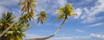 Flights from Fiji to the Marshall Islands