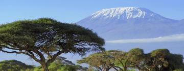 Mga flight papuntang Tanzania