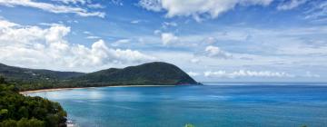 Flights din Saint Martin spre Guadelupa