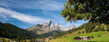 Guest Houses in Austria