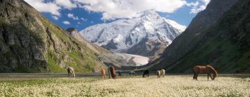 Flights from Bangkok to Kyrgyzstan