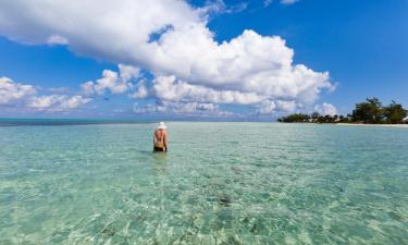 Fly fra Chicago til Caymanøyene