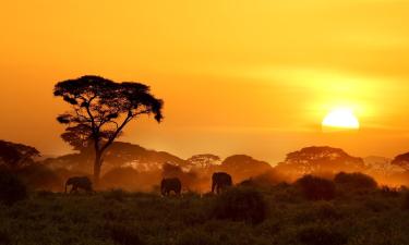 Mga flight mula Namibia papuntang Kenya