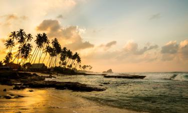 Zboruri către Sri Lanka