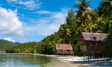 Flüge nach Papua-Neuguinea