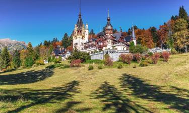 Guest Houses in Romania